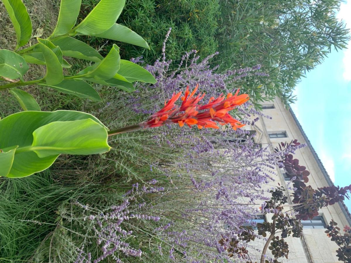 Domaine Terroceane Hotel La-Gripperie-Saint-Symphorien Luaran gambar