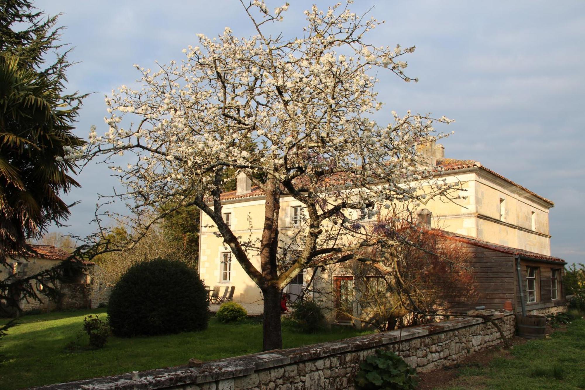 Domaine Terroceane Hotel La-Gripperie-Saint-Symphorien Luaran gambar