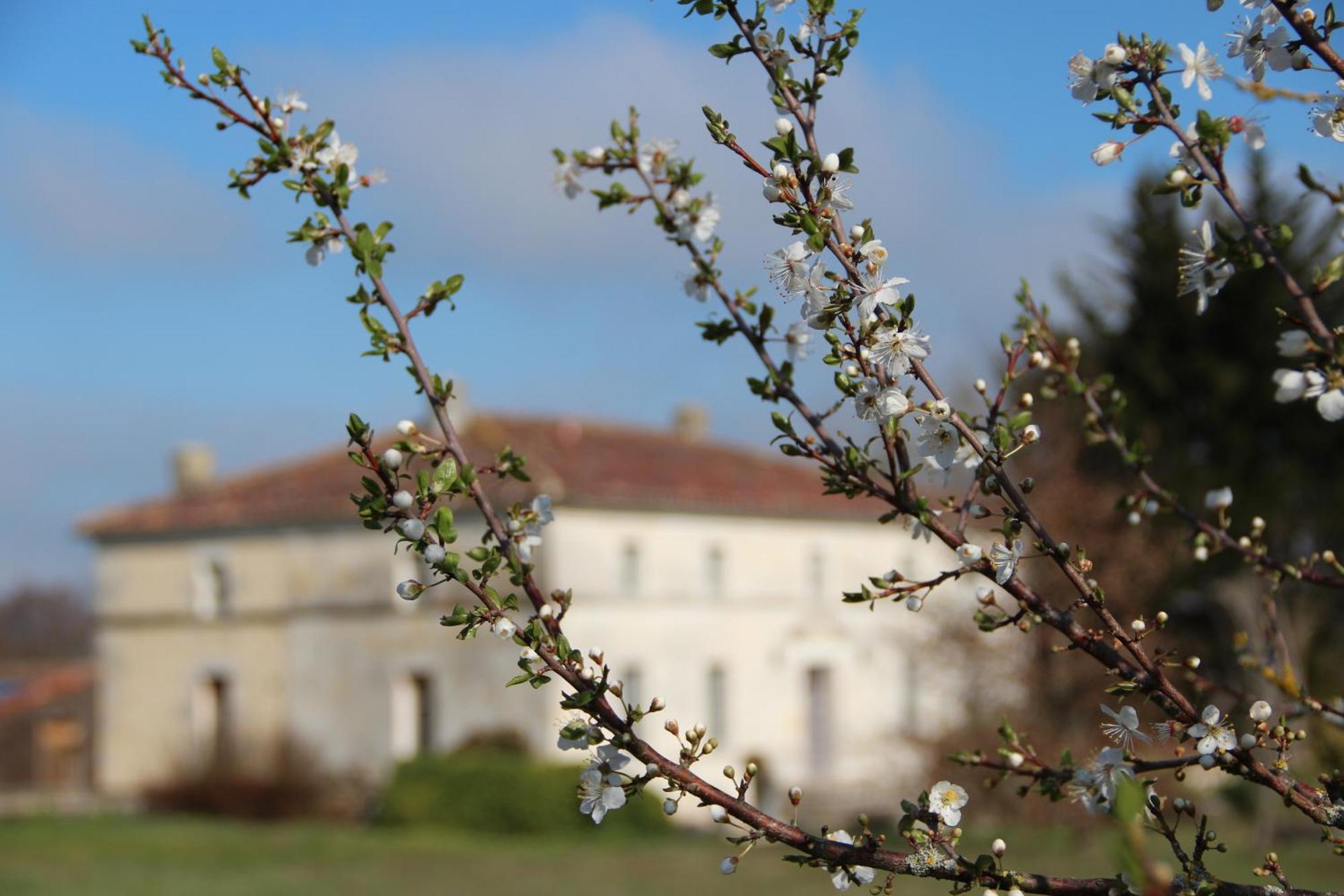 Domaine Terroceane Hotel La-Gripperie-Saint-Symphorien Luaran gambar