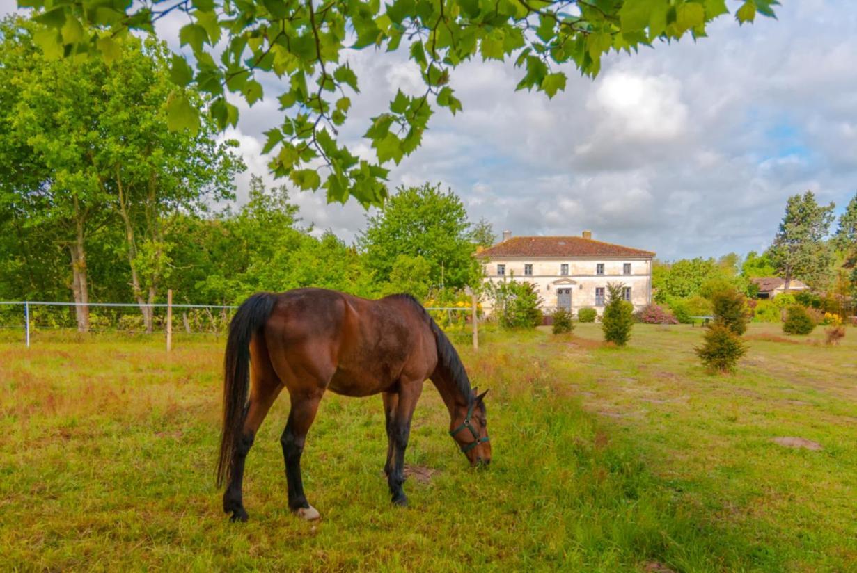 Domaine Terroceane Hotel La-Gripperie-Saint-Symphorien Luaran gambar